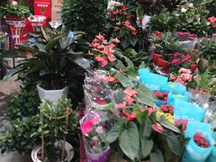 -秦美花卉(天朗·莱茵小城2期店)