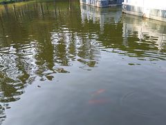 -珠海圆明新园