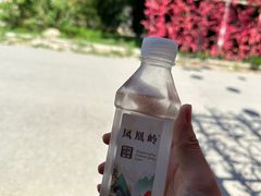 -北京凤凰岭