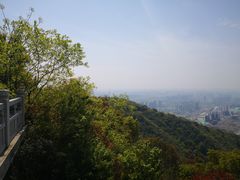 -杭州半山国家森林公园