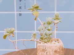 -微焙咖啡工厂(海峡创意产业园·红坊店)