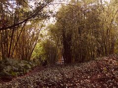 -晓港公园
