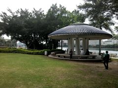 android_upload_pic-白鹭洲公园