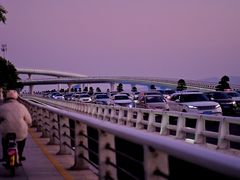 -演武大桥观景平台