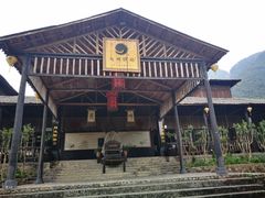 -天门沟九州驿站树上汤泉