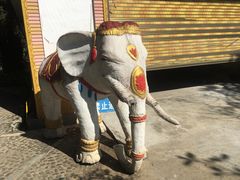 -瑞丽独树成林风景区