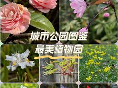 -杭州植物园