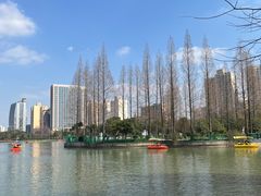 -黄兴公园