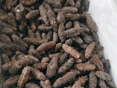 -宫品海参专卖店(静安大宁店)