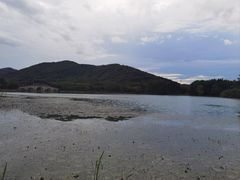 -长广溪湿地公园