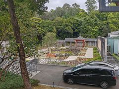 -清湖文化公园