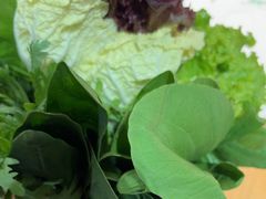 -草原塞蛮羊火锅城(港湾店)