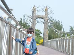-西青郊野公园