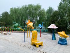 -大兴滨河森林公园