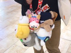 -LLJ夹机占(清河万象汇店)