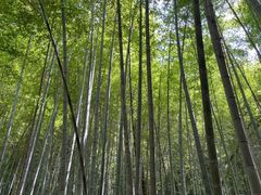 -敬亭山风景名胜区