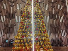 -康莱德酒店·美庭自助餐厅