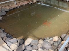 -庞各庄翠芳园西瓜蔬菜基地采摘园