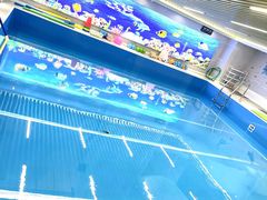 -水贝乐国际水育儿童游泳中心(新业广场店)