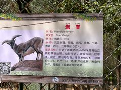 -青藏高原野生动物园