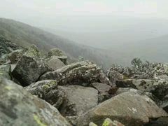 景点高山石海-凤凰山国家森林公园