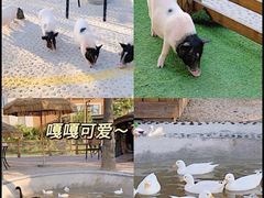-珠海海泉湾神秘岛亲子乐园