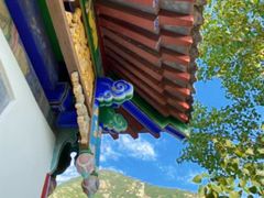 -禅宗少林·音乐大典