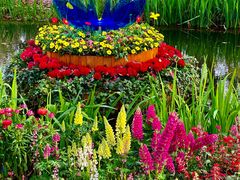 -上海共青森林公园