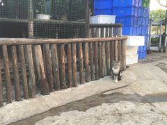 -长廊欢乐园