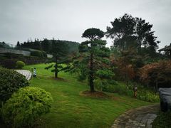 -铁山坪森林公园