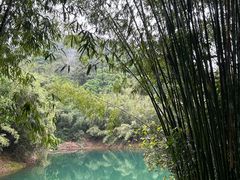 -鼎湖山风景区