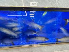 -粤顺渔坊·中山脆肉鲩火锅(清湖店)