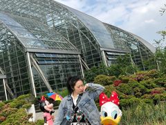 -南山植物园