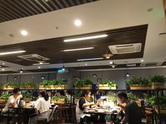 -八合里潮汕鲜牛肉火锅(深圳海岸城店)