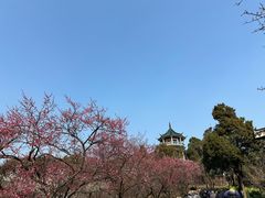 -无锡梅园公园