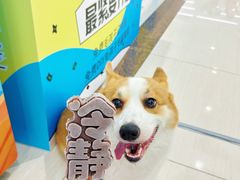 -开元商城(西旺店)
