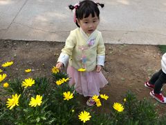 -竹上云想餐厅民宿