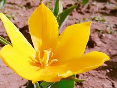 -长春公园(普阳街道)