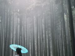 -山王坪喀斯特国家生态公园