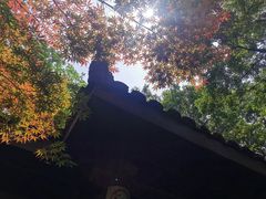 -杭州半山国家森林公园