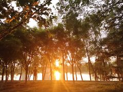 -长白岛森林公园