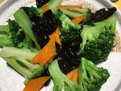 西兰梵语-素虎小呆鸟(西二旗店)
