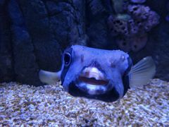 -成都浩海立方海洋公园