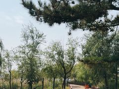 -绿堤公园