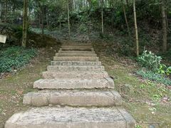 -上海佘山国家森林公园天马山园