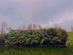 -东平国家森林公园