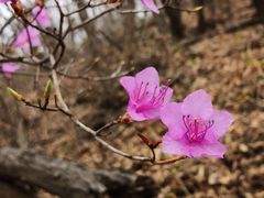 -蟠龙山长城景区