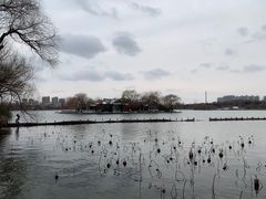 -济南大明湖景区