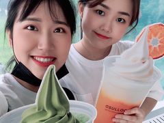 -雪绿茶博物馆