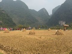-靖西鹅泉风景区